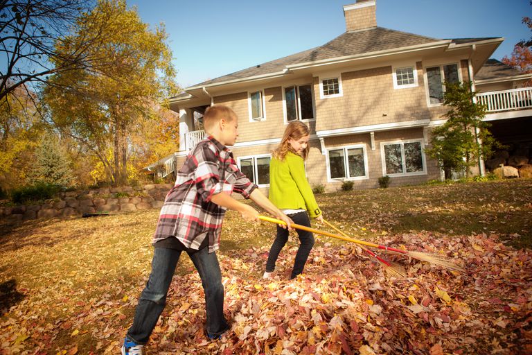 เด็ก ๆ Helping Rake Leaves in Backyard