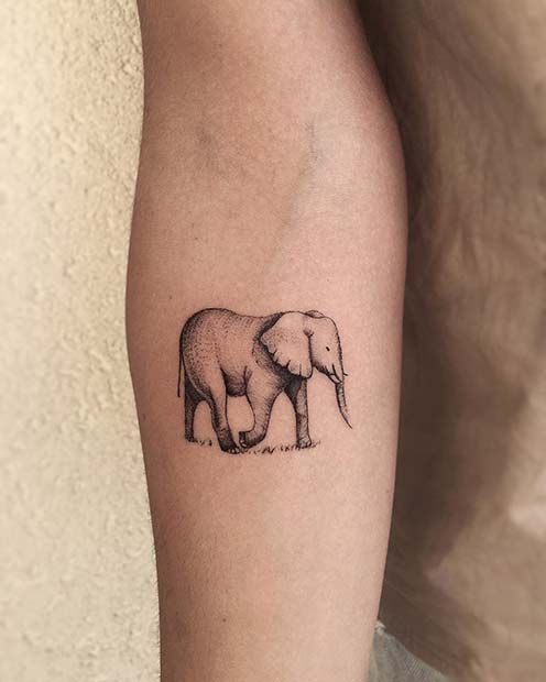 प्यारा Elephant Arm Tattoo for Elephant Tattoo Ideas