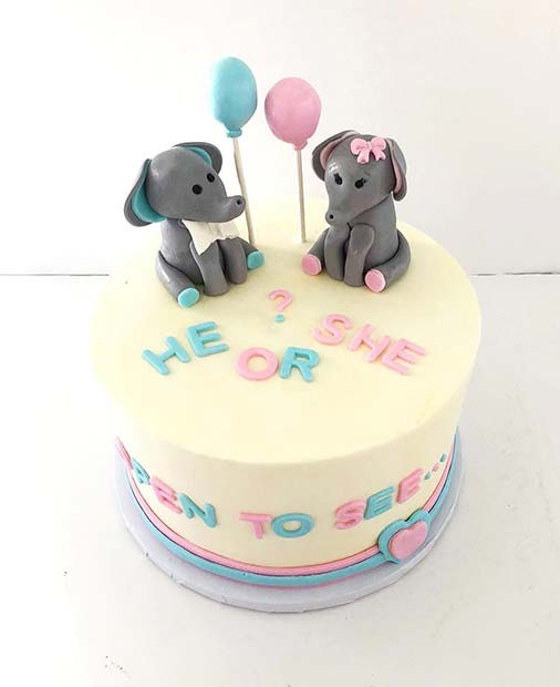 Sevimli Open to See Gender Reveal Cake