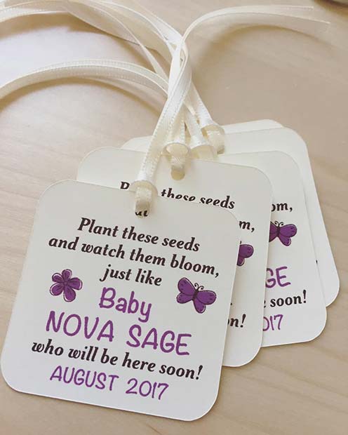 Växt Seed Prize Idea for Baby Shower