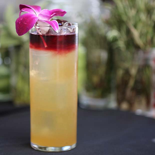 פסיון Caliente for Girly and Delicious Summer Cocktails