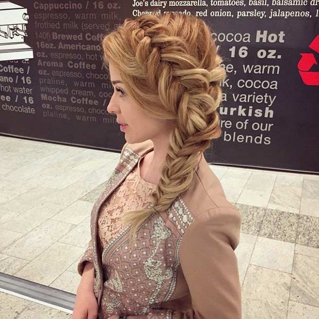 Sida Fishtail Braid Hairstyle for Prom