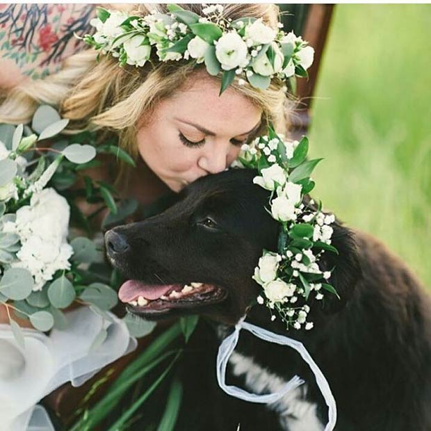 मेल मिलाना Bride and Pet Floral Headband for Spring Wedding