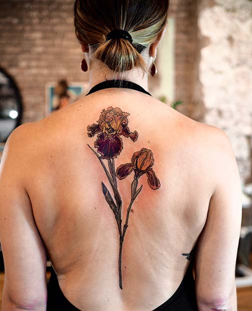 Skäggig Iris Back Tattoo