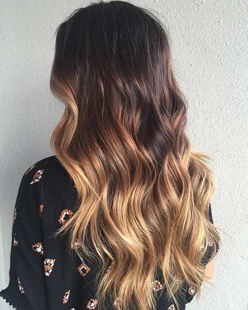 अंधेरा Chocolate Hair with Blonde Highlights