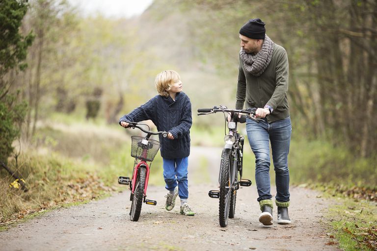 Far and son with bicycles
