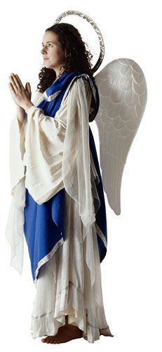 Yetişkin Angel Costume How To