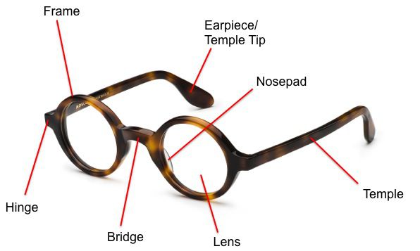 Terminologija Vsa očala morajo poznati