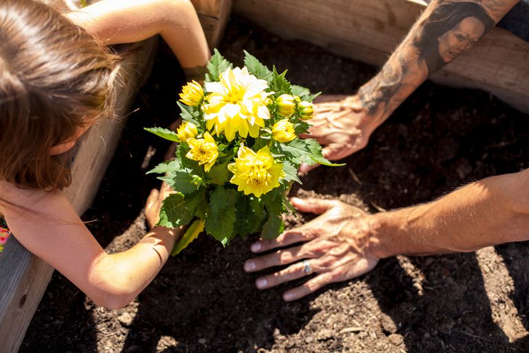 tatuat man and daughter planting flowers