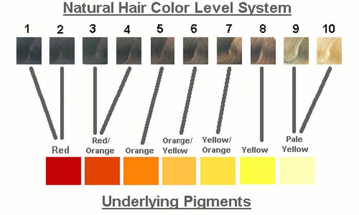 Använd denna diagram för att lära känna underliggande pigment