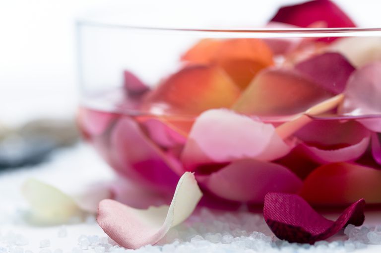 गुलाब का फूल petals in water
